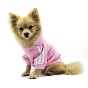 Adidog felpa calda con cappuccio in velluto maglioncino Vestito per cani magliette per cuccioli cappottino