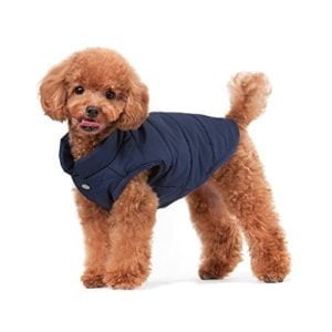 piumino per cuccioli giacca invernale per cani piumino con cappuccio calda giacca invernale di per cani ABRRLO abbigliamento per cani di piccola taglia cappotto per animali domestici
